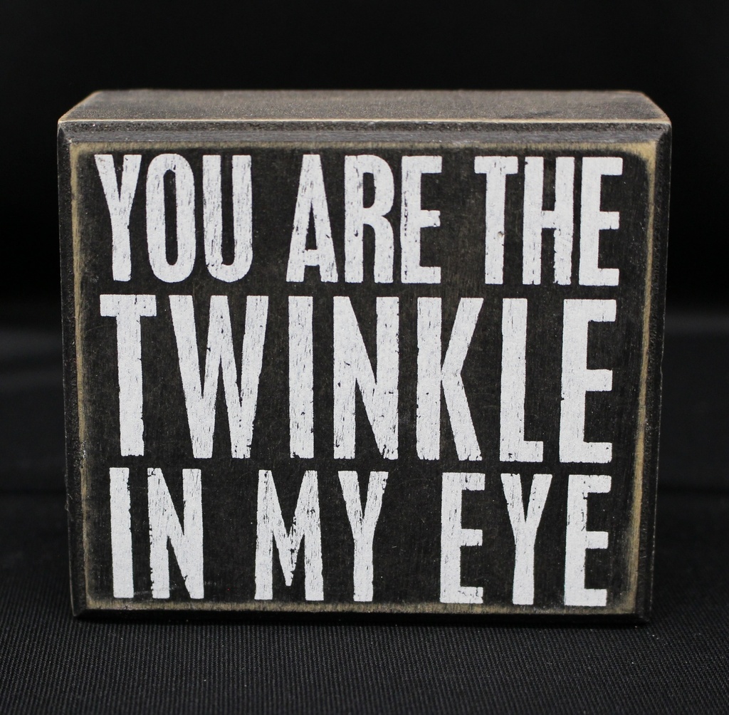 Sign: You are the Twinkle... #20